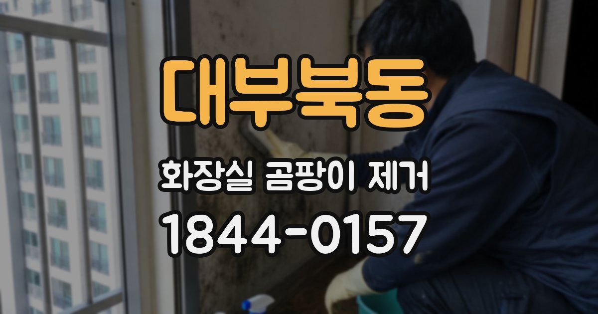 대부북동 화장실 곰팡이 제거