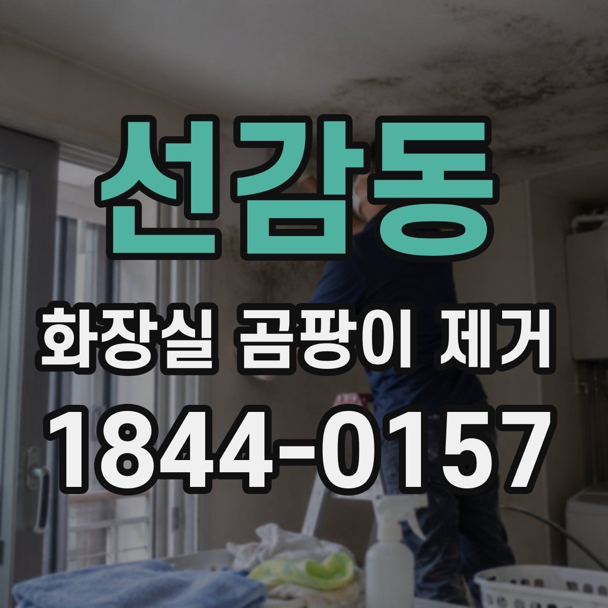 선감동 화장실 곰팡이 제거 자국 없이 마무리하려면 어떤 순서가 좋을까