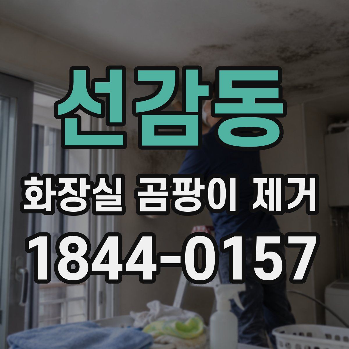 선감동 화장실 곰팡이 제거