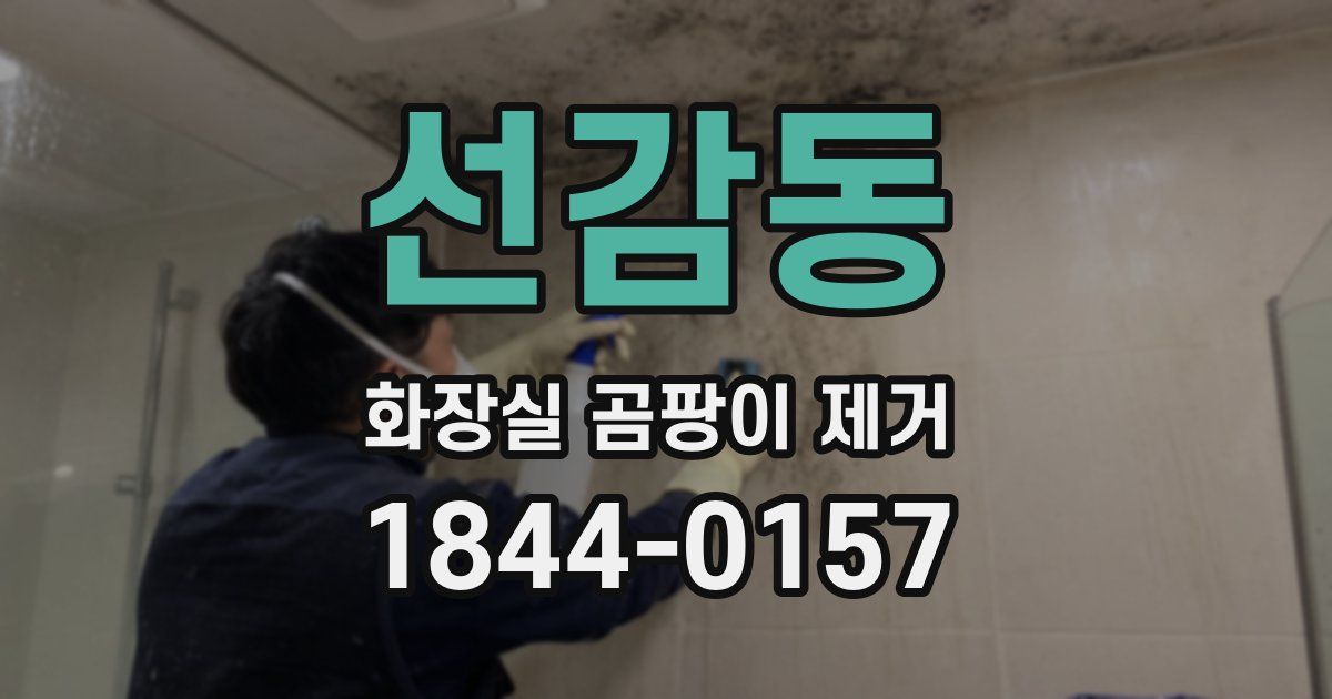 선감동 화장실 곰팡이 제거