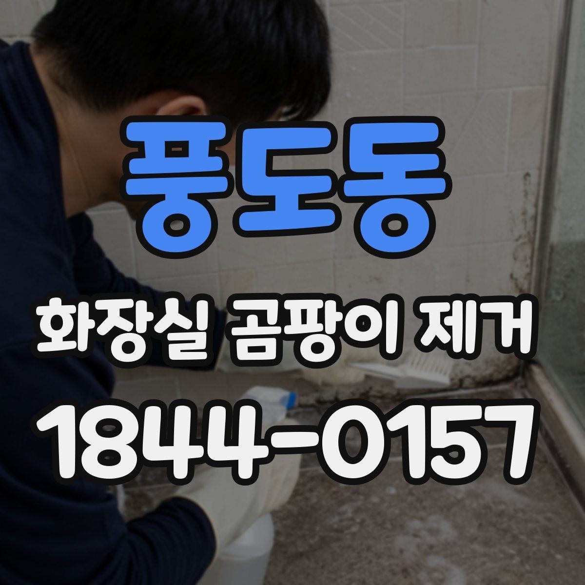 풍도동 화장실 곰팡이 제거 자국이 남는 원인을 먼저 확인하기