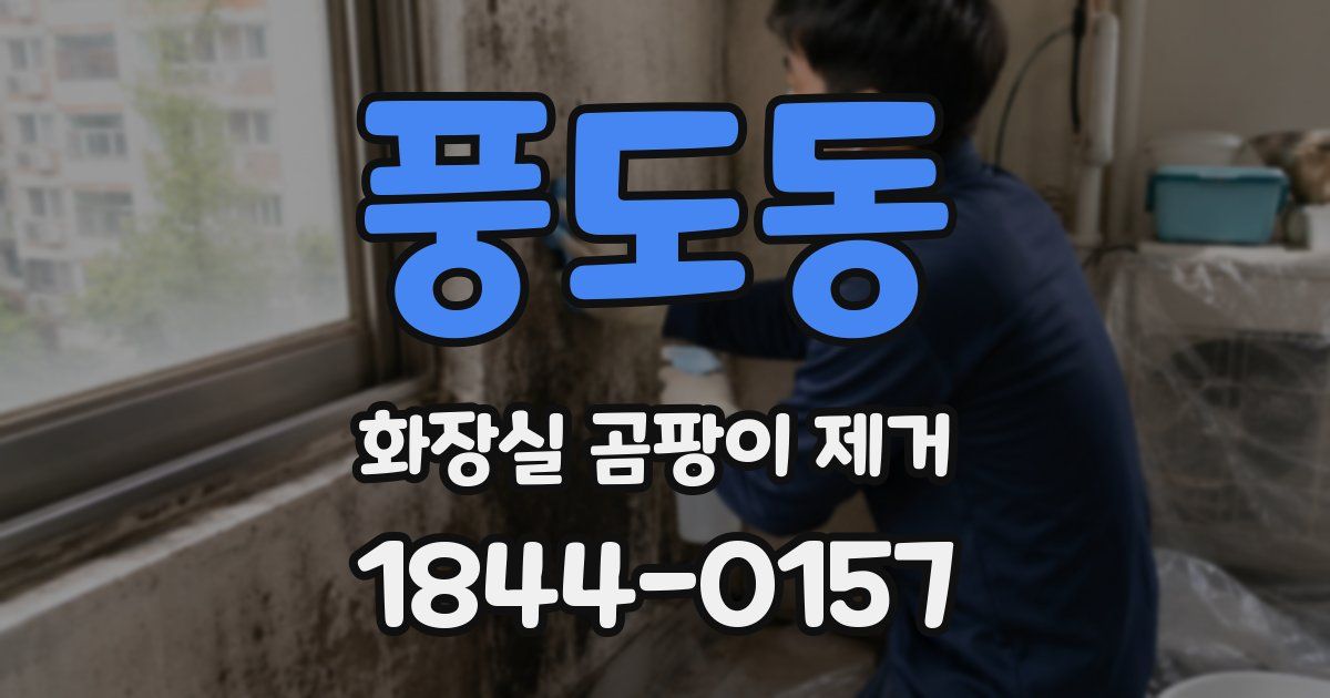 풍도동 화장실 곰팡이 제거