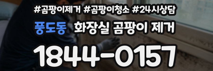 풍도동 화장실 곰팡이 제거