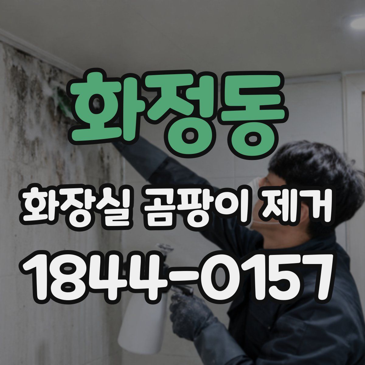 화정동 화장실 곰팡이 제거