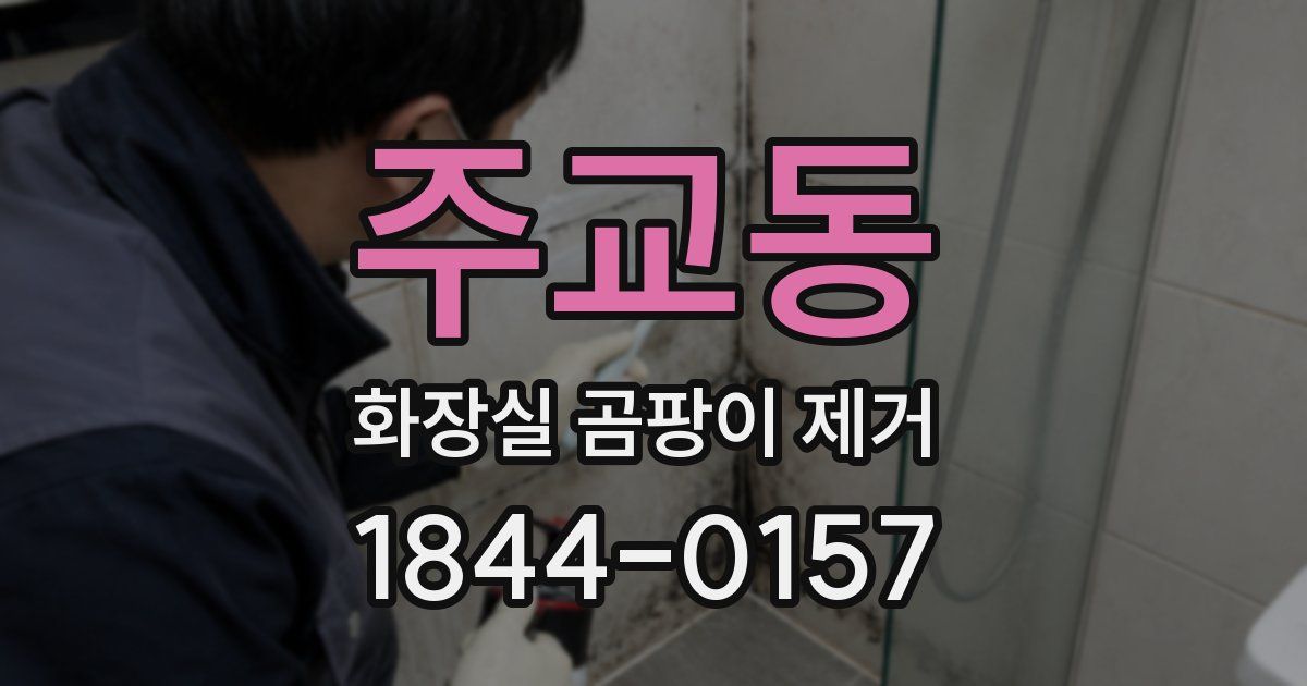 주교동 화장실 곰팡이 제거