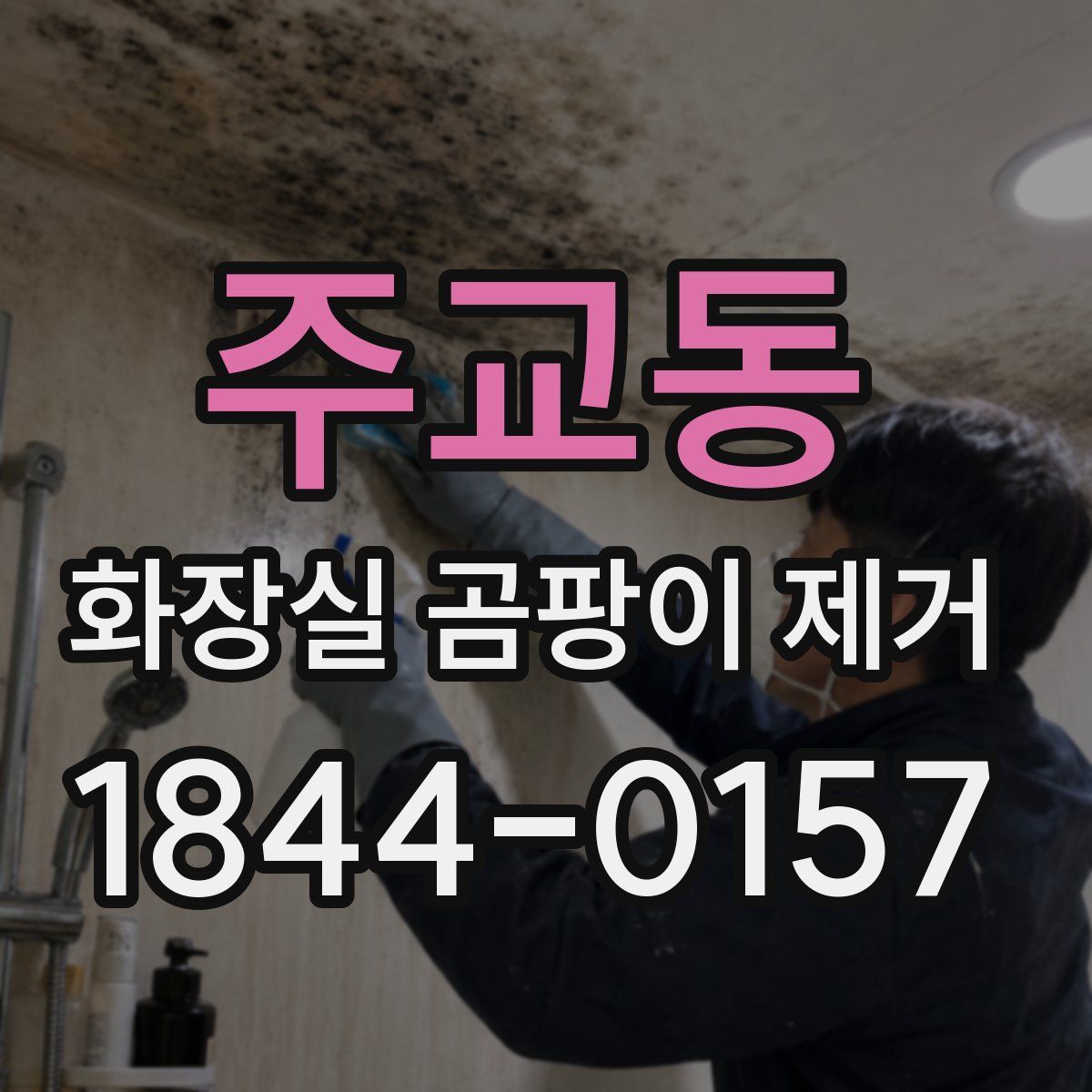주교동 화장실 곰팡이 제거