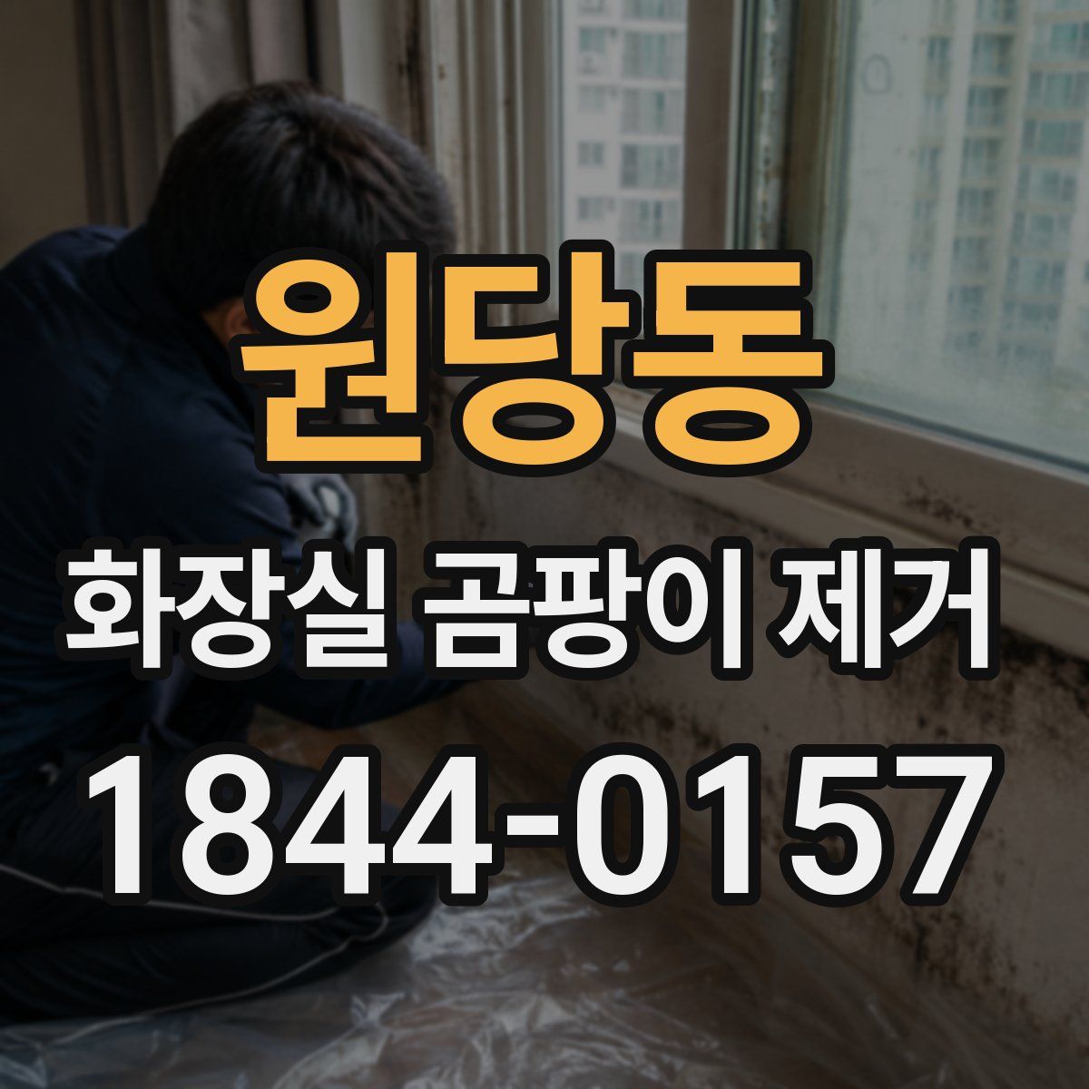 원당동 화장실 곰팡이 제거