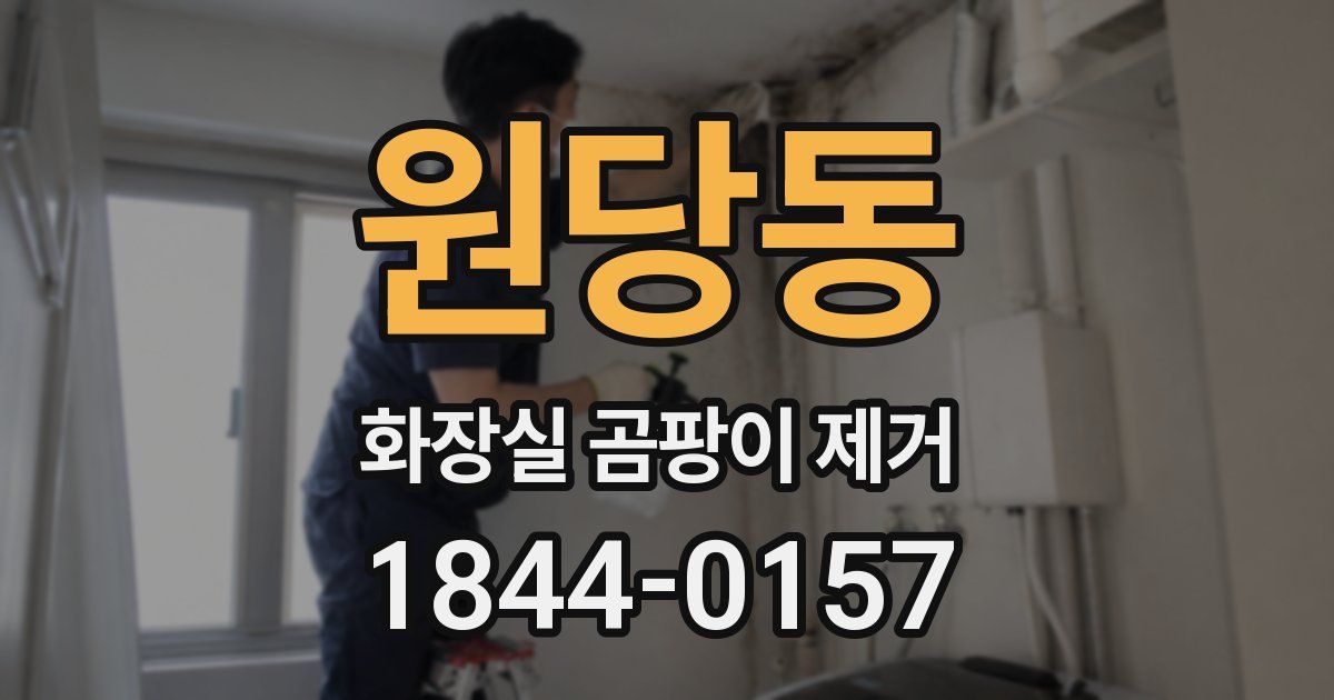 원당동 화장실 곰팡이 제거