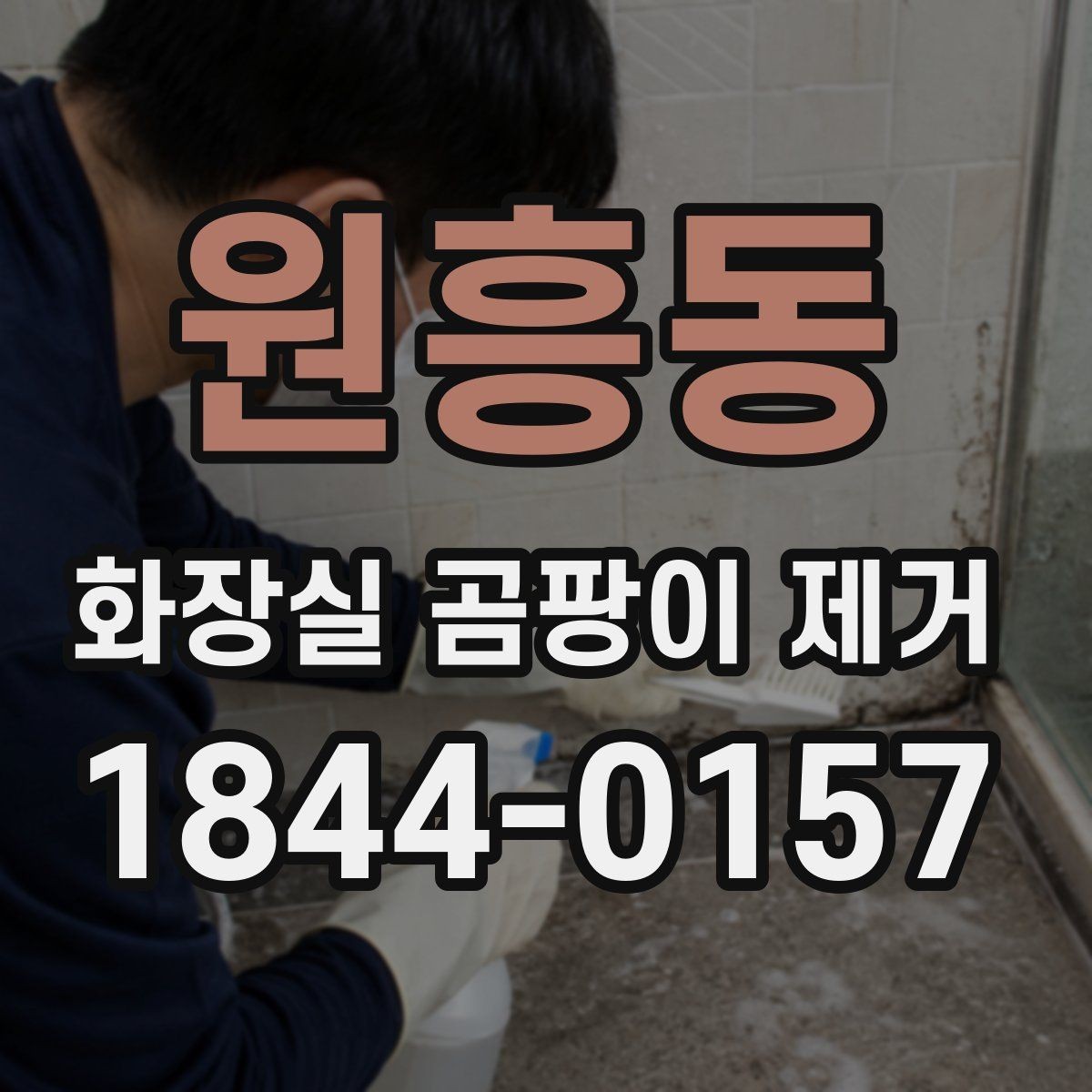 원흥동 화장실 곰팡이 제거 환기 부족이 남기는 흔적과 대처