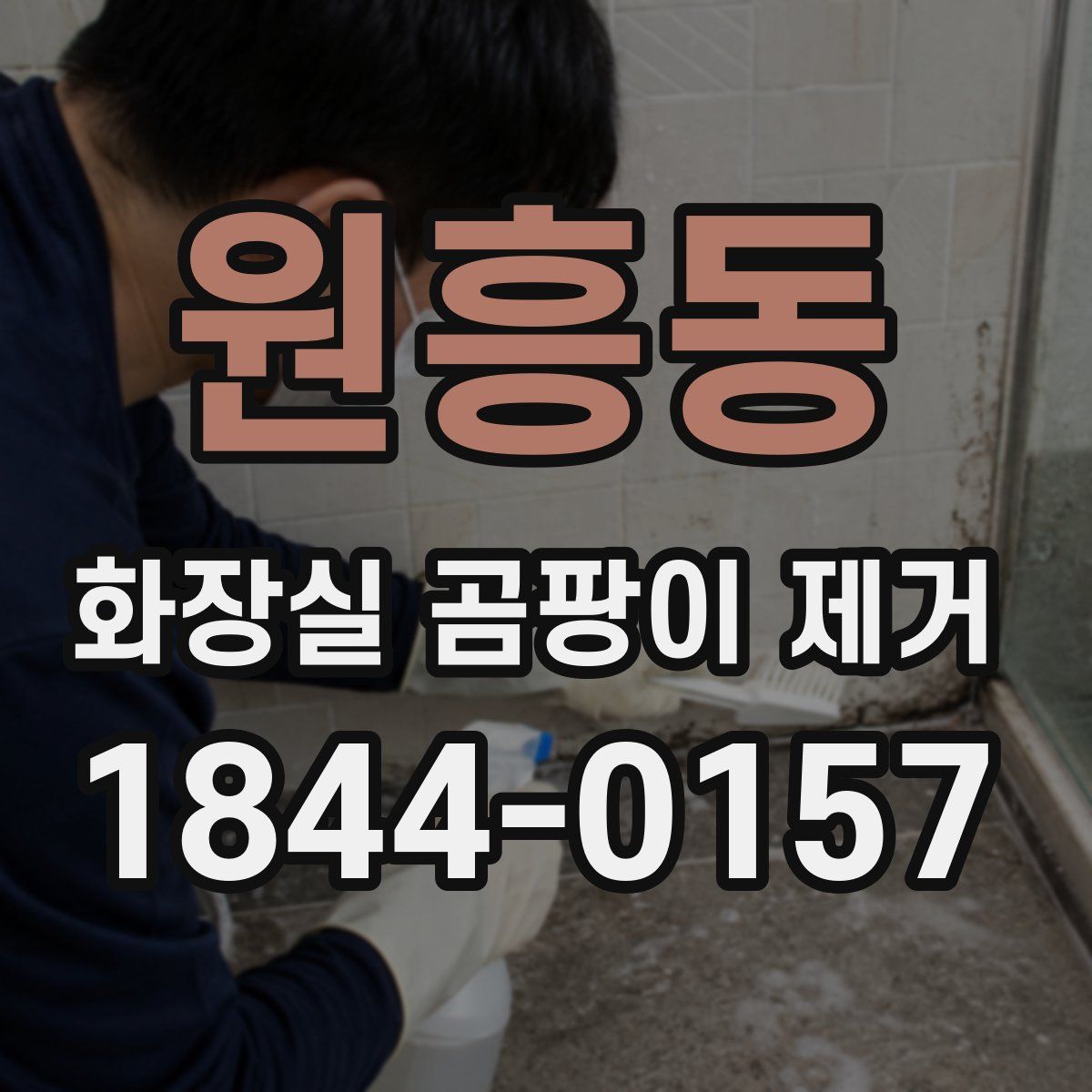 원흥동 화장실 곰팡이 제거