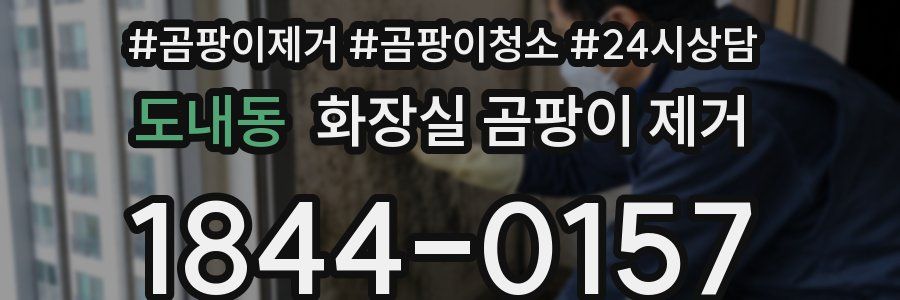 도내동 화장실 곰팡이 제거