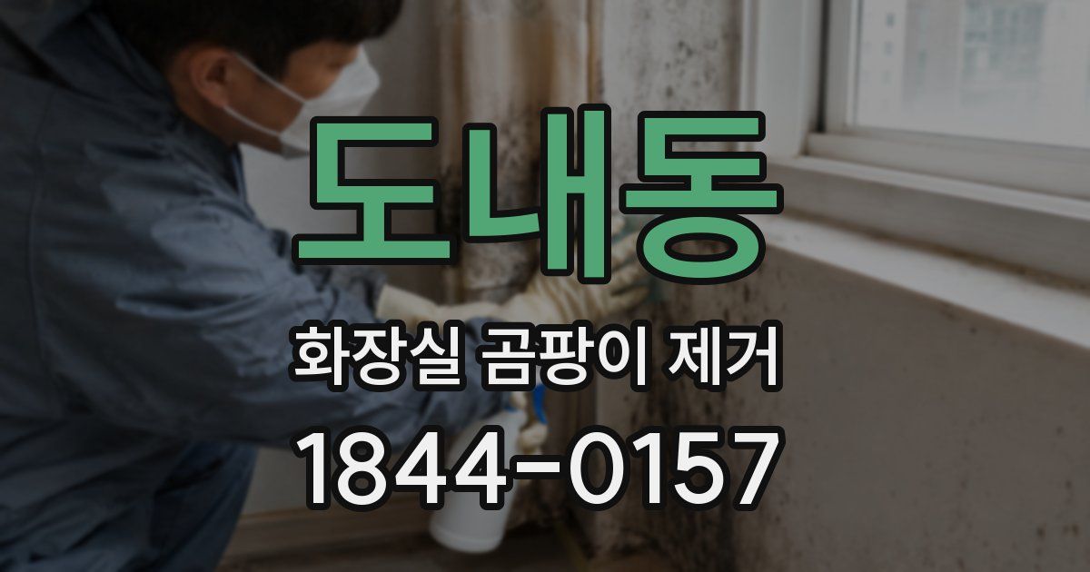 도내동 화장실 곰팡이 제거