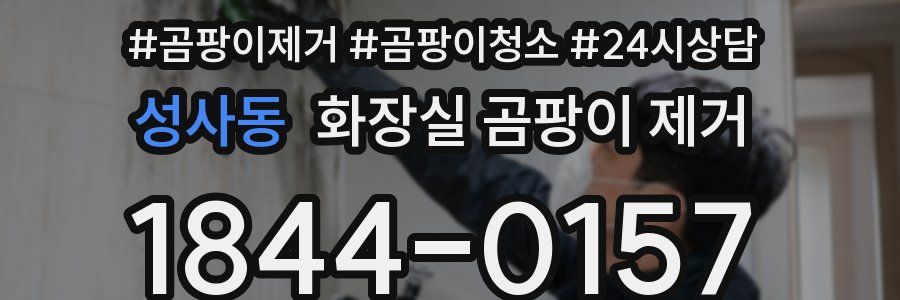 성사동 화장실 곰팡이 제거
