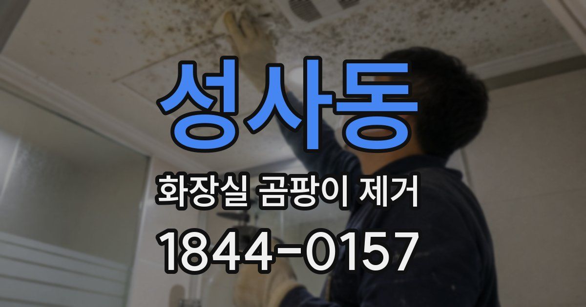 성사동 화장실 곰팡이 제거