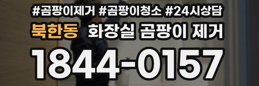 북한동 화장실 곰팡이 제거