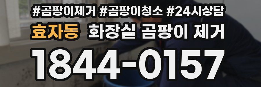 효자동 화장실 곰팡이 제거