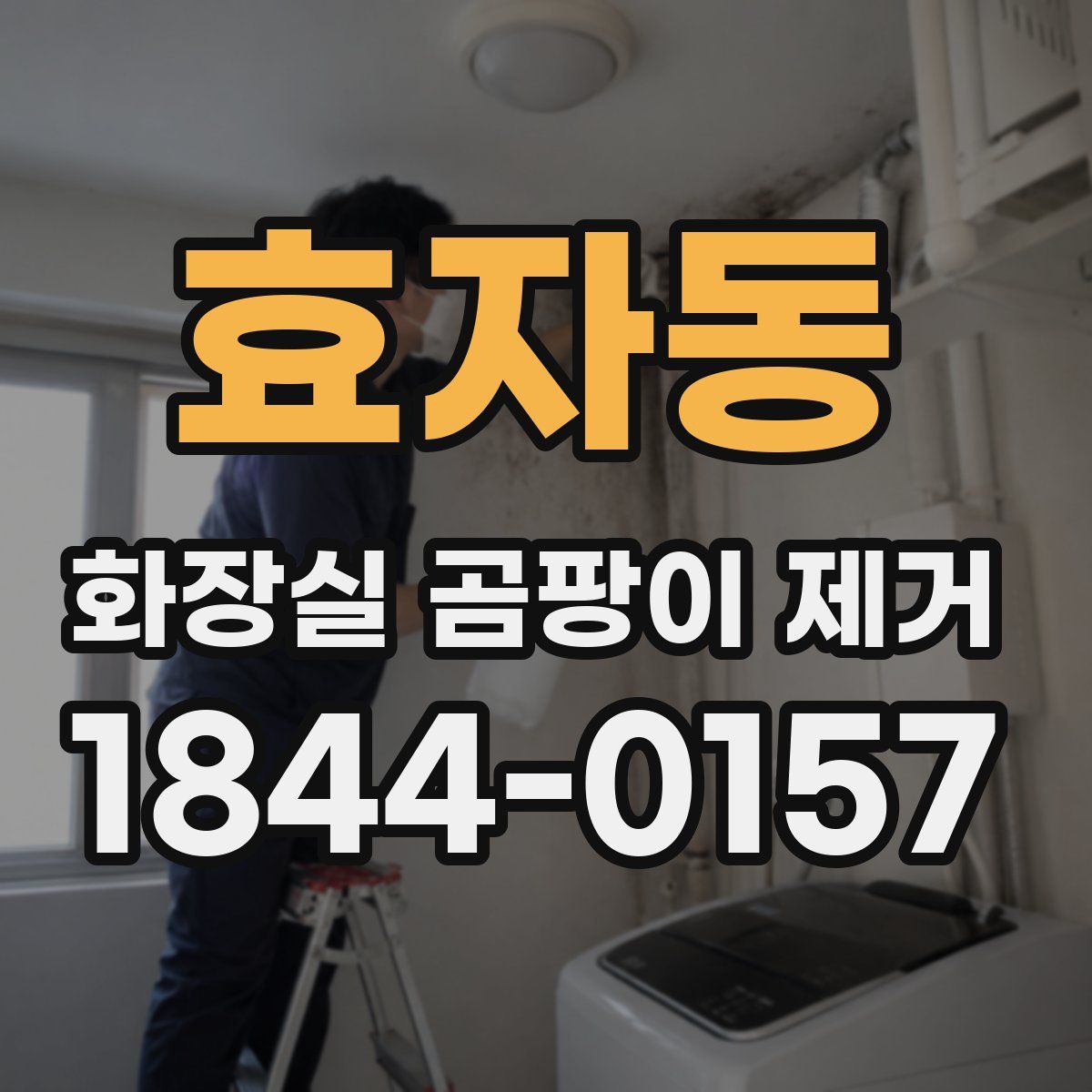 효자동 화장실 곰팡이 제거