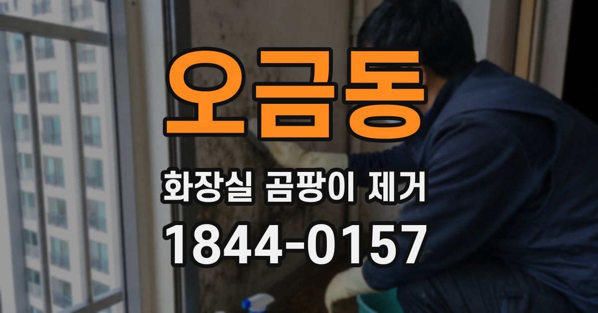 오금동 화장실 곰팡이 제거