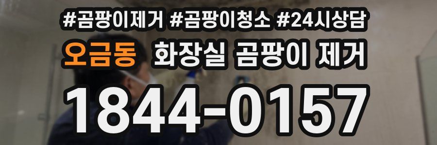 오금동 화장실 곰팡이 제거