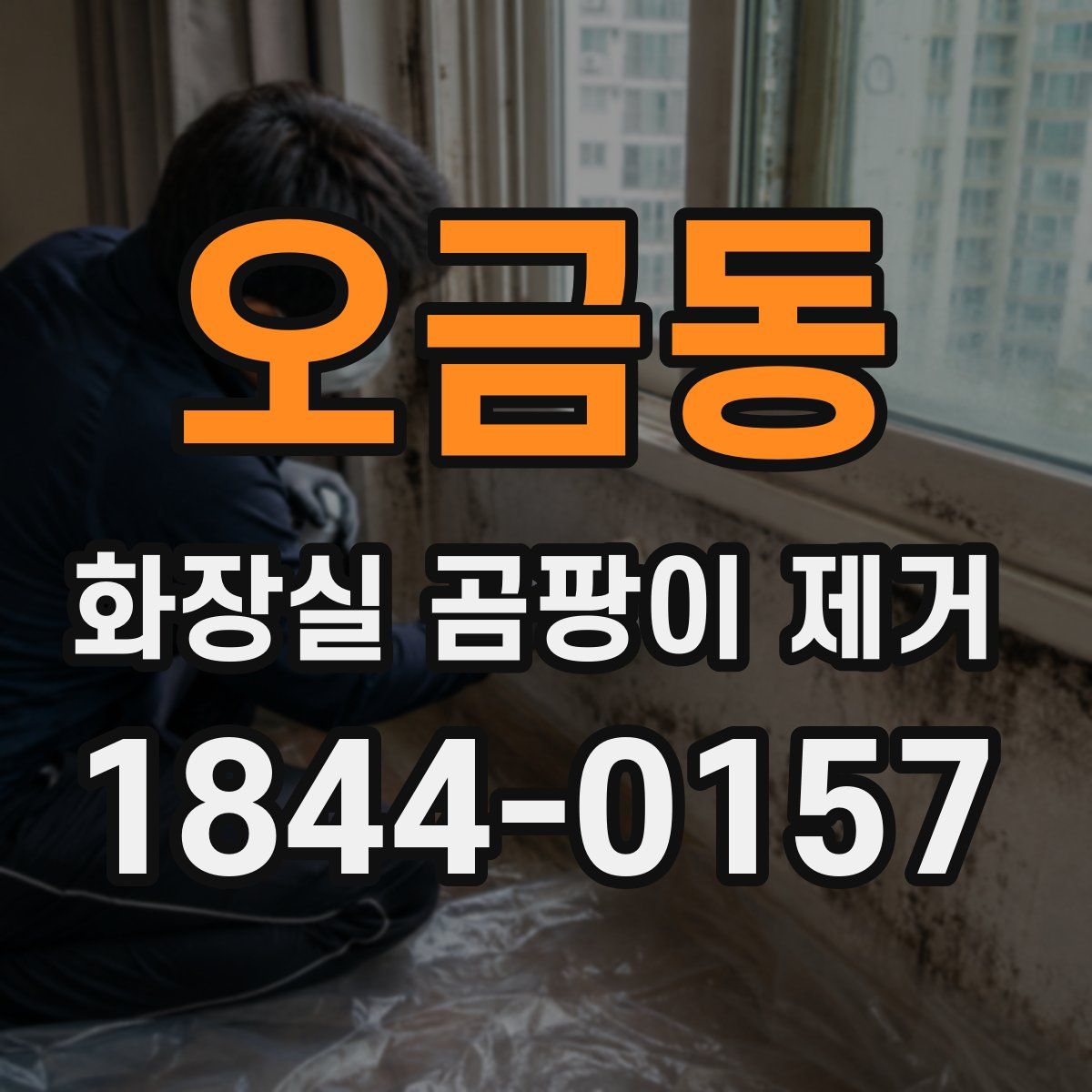 오금동 화장실 곰팡이 제거