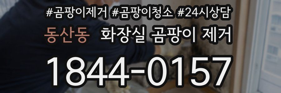 동산동 화장실 곰팡이 제거