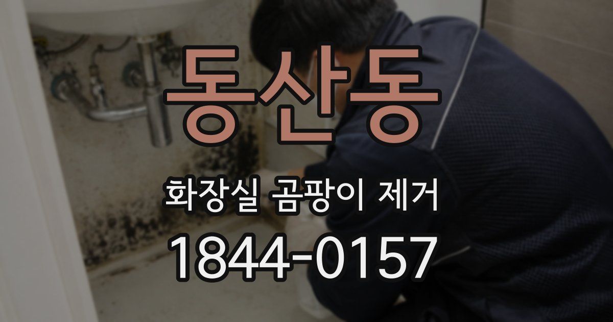 동산동 화장실 곰팡이 제거