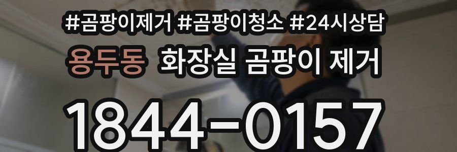 용두동 화장실 곰팡이 제거