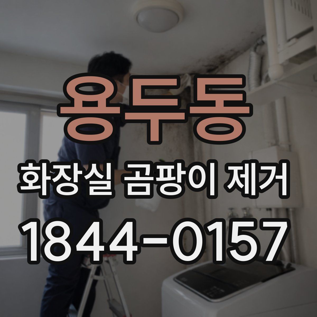용두동 화장실 곰팡이 제거