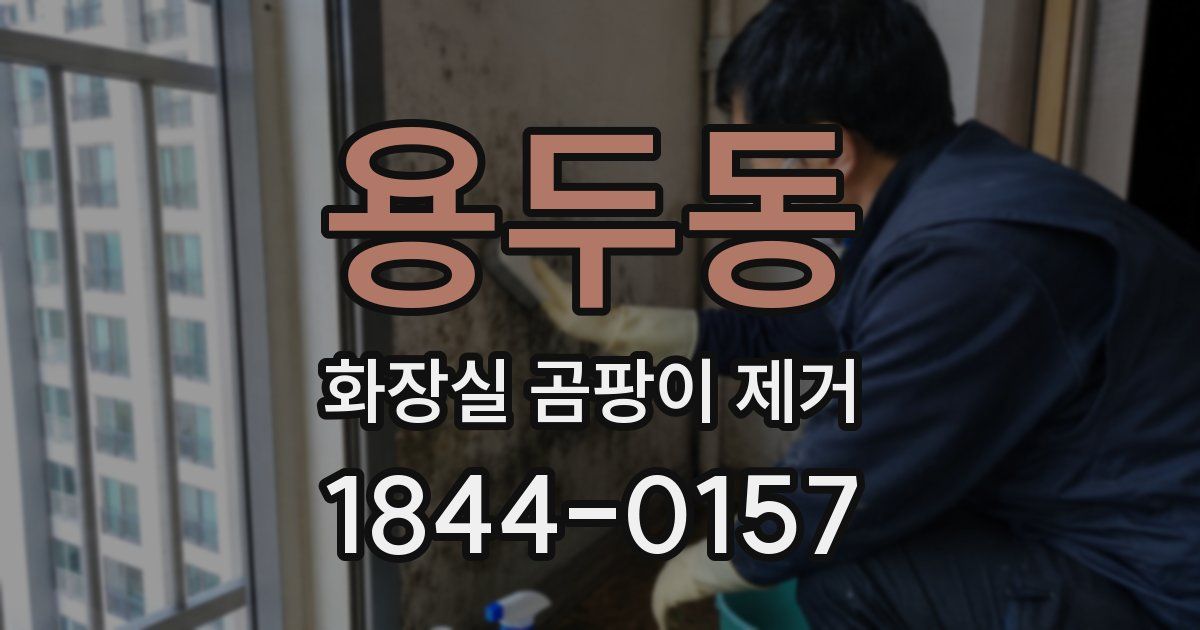 용두동 화장실 곰팡이 제거