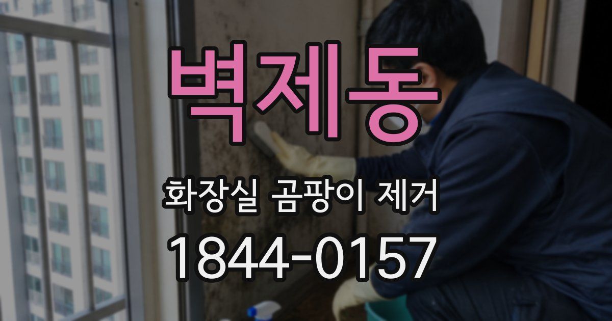 벽제동 화장실 곰팡이 제거