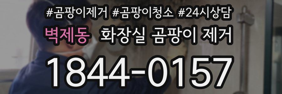 벽제동 화장실 곰팡이 제거