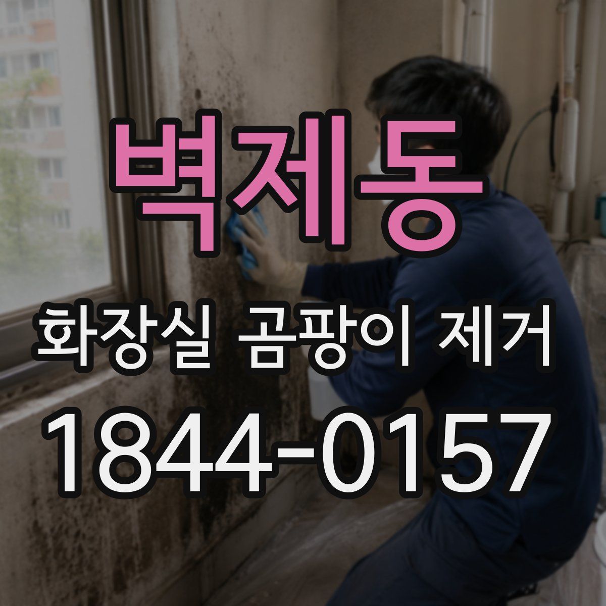 벽제동 화장실 곰팡이 제거