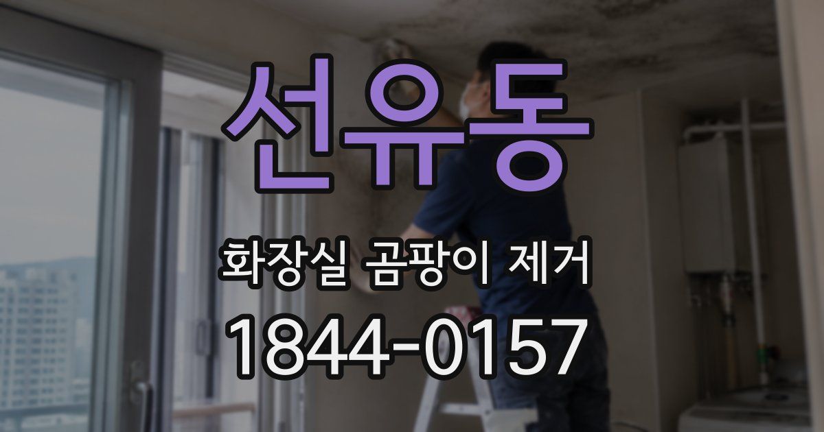 선유동 화장실 곰팡이 제거