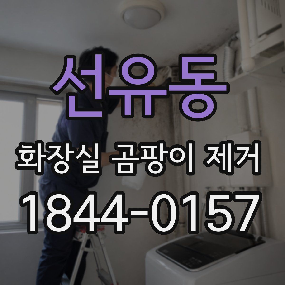 선유동 화장실 곰팡이 제거