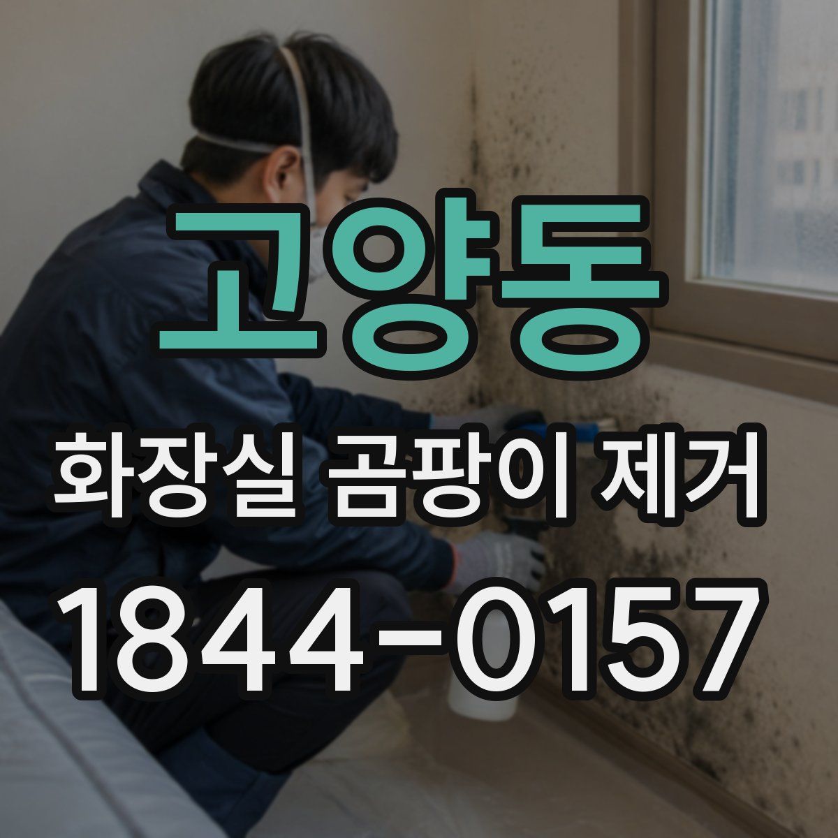 고양동 화장실 곰팡이 제거