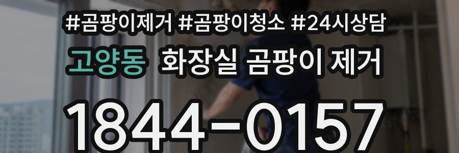 고양동 화장실 곰팡이 제거