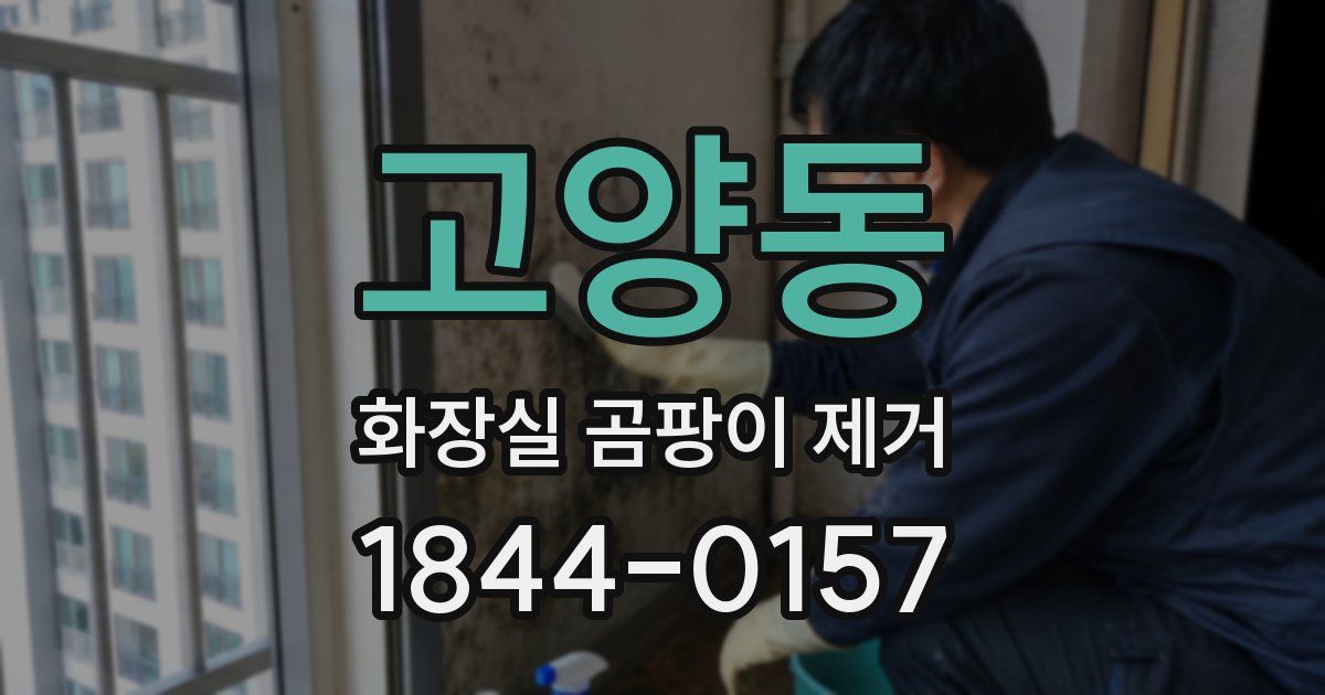 고양동 화장실 곰팡이 제거
