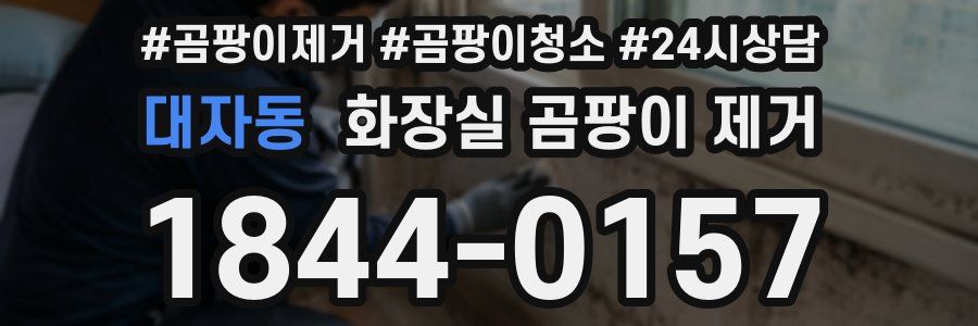 대자동 화장실 곰팡이 제거