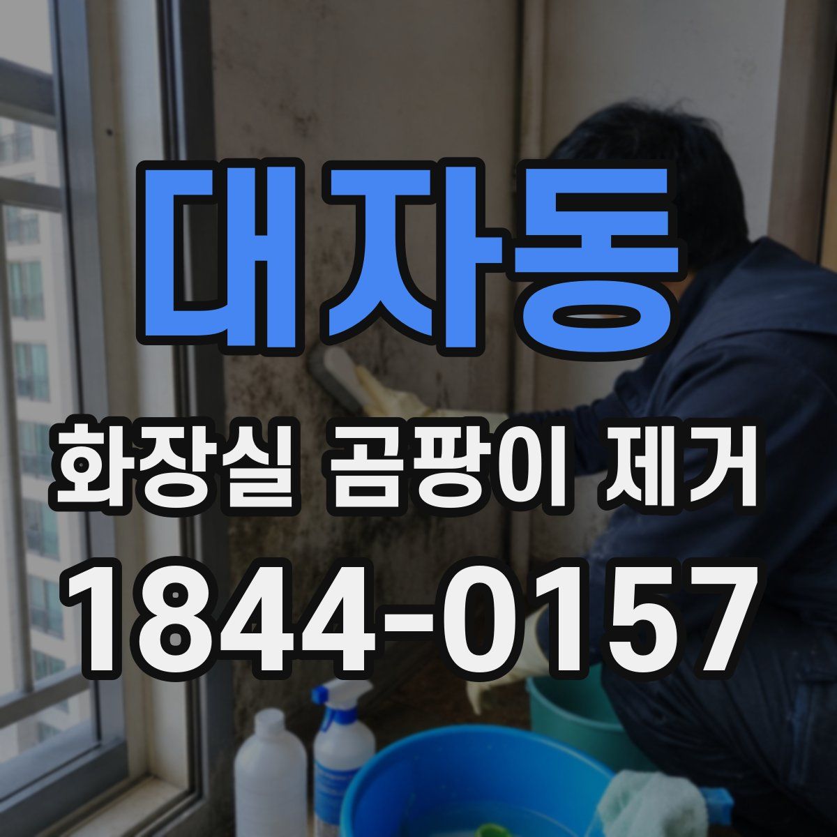 대자동 화장실 곰팡이 제거