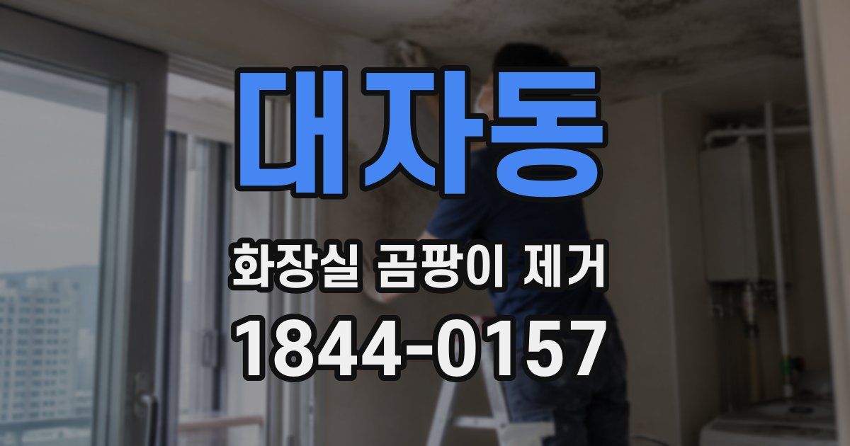 대자동 화장실 곰팡이 제거