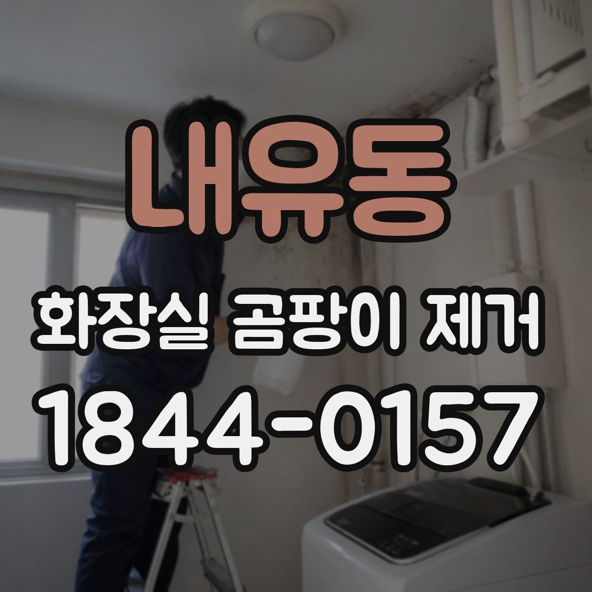 내유동 화장실 곰팡이 제거