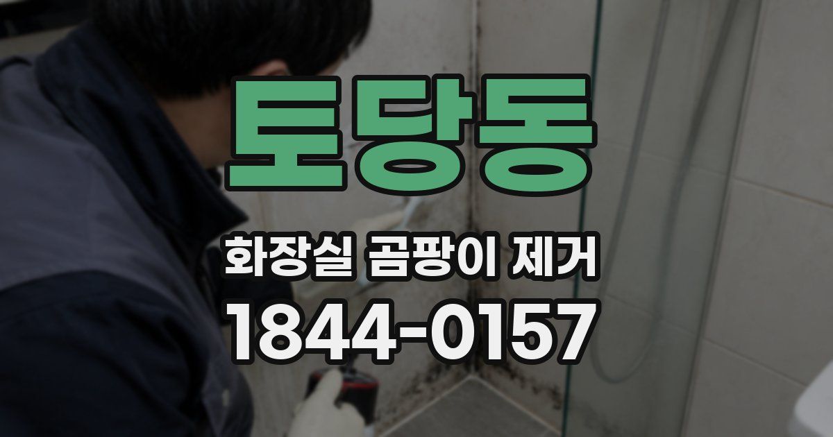토당동 화장실 곰팡이 제거