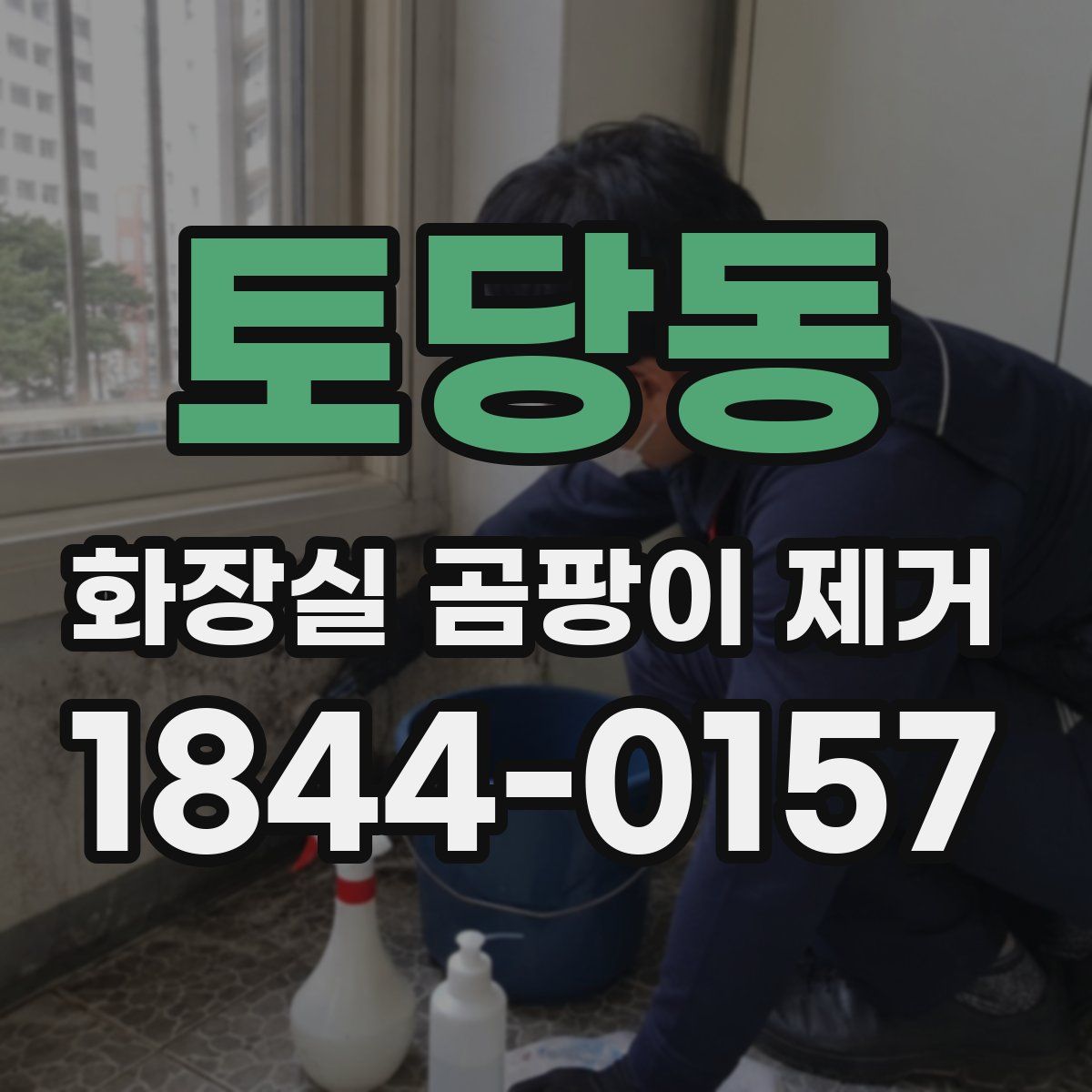 토당동 화장실 곰팡이 제거