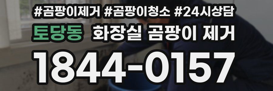 토당동 화장실 곰팡이 제거