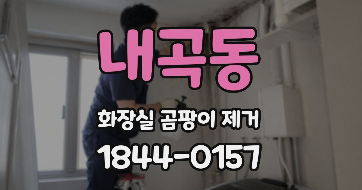내곡동 화장실 곰팡이 제거