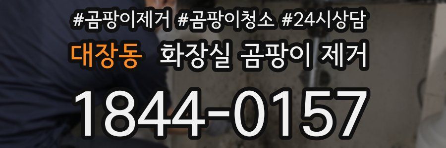 대장동 화장실 곰팡이 제거
