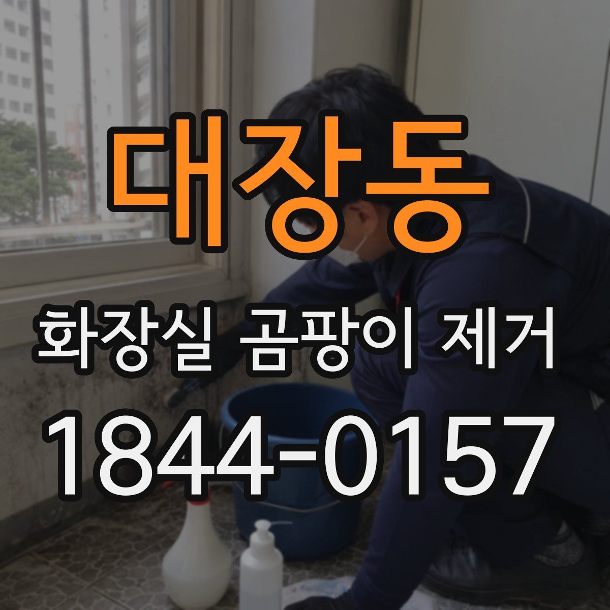 대장동 화장실 곰팡이 제거