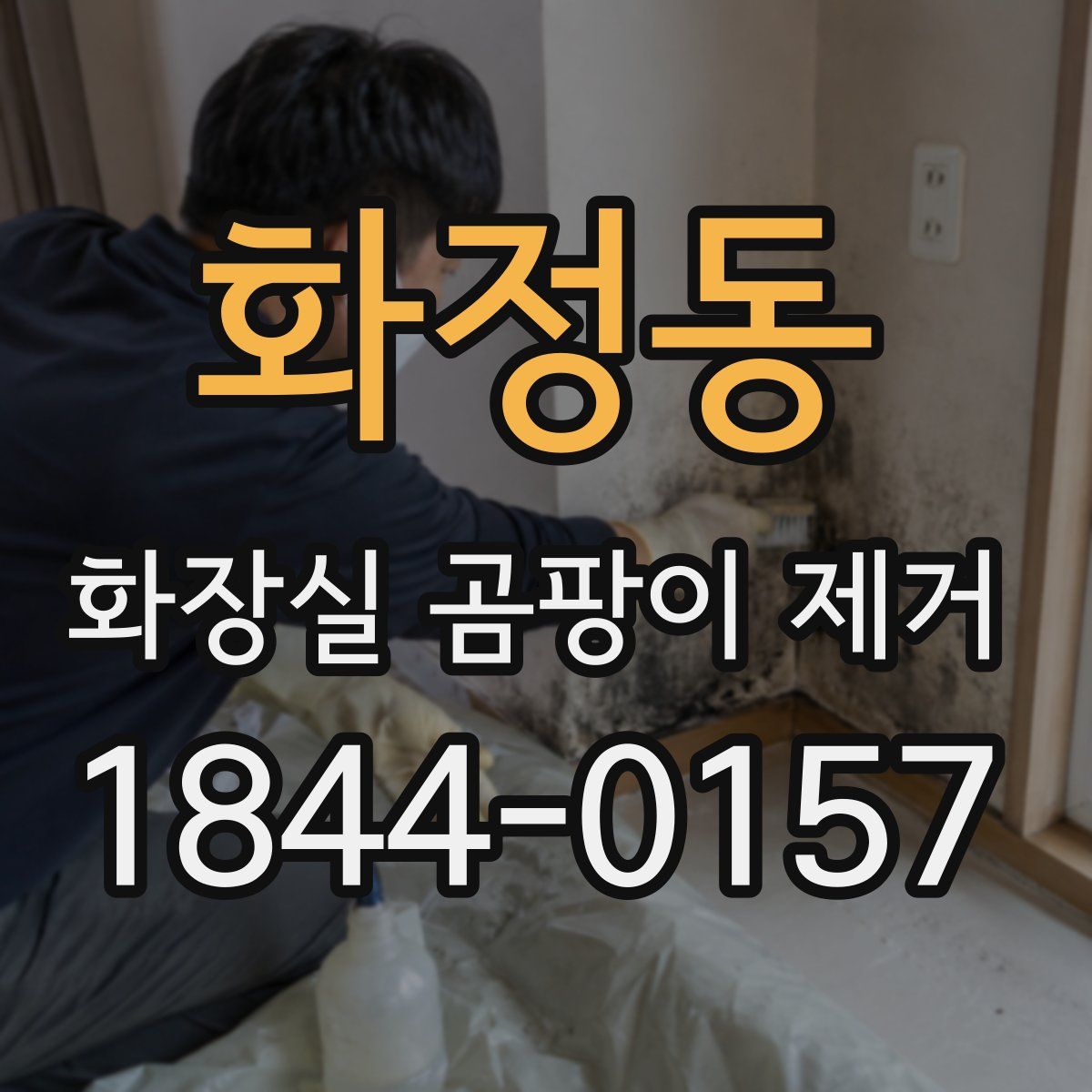 화정동 화장실 곰팡이 제거