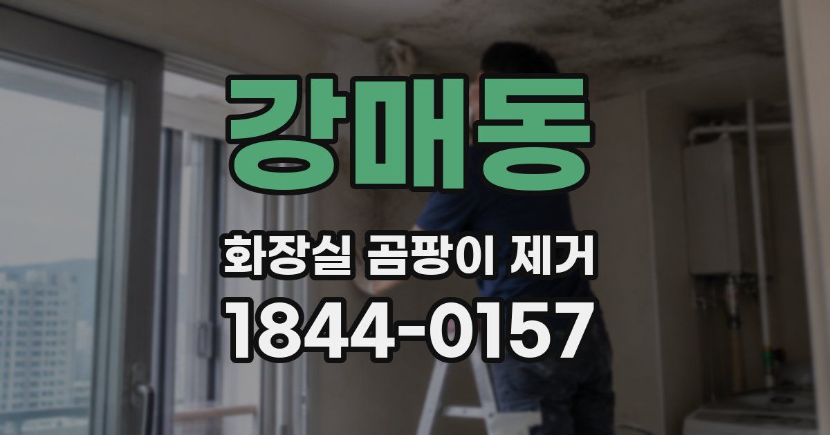 강매동 화장실 곰팡이 제거