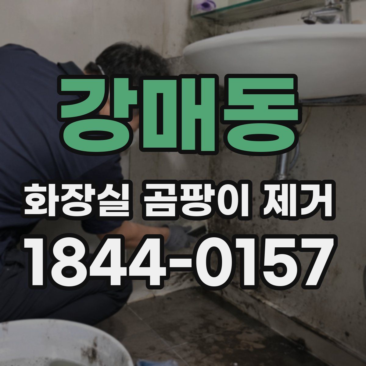 강매동 화장실 곰팡이 제거